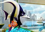 Gill