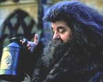 Rubeus Hagrid